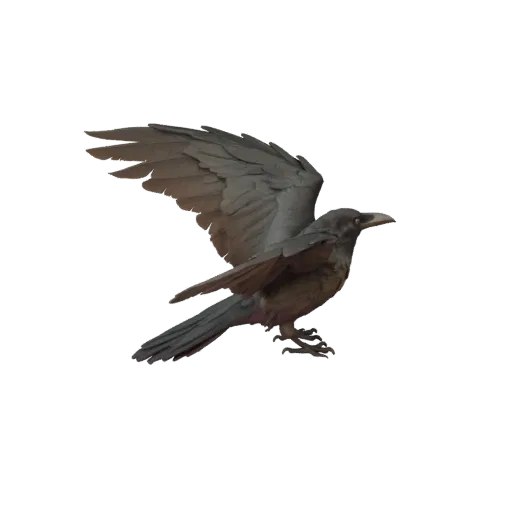 3D модель вороны, вид сбоку в игровом ракурсе, готовый для Unity ассет животного с детализацией хвоста, контрастом материалов