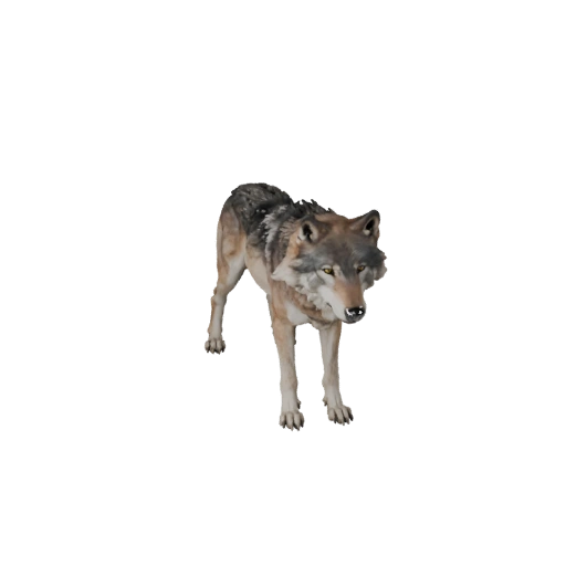 Реалистичная 3D модель серого волка - rigged PBR ассет для игр | PBR