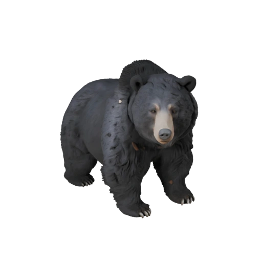 3D модель черного медведя для Unity - Готовый игровой ассет, FBX | Бесплатно