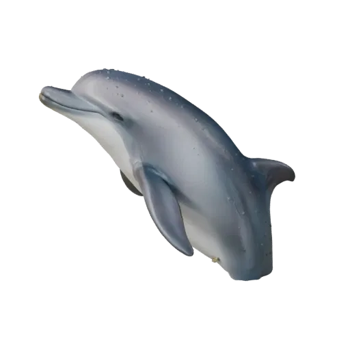 3D модель дельфина, рендер дикой природы сбоку, готовый для Blender ассет животного с детализацией поверхности, корнями плавн