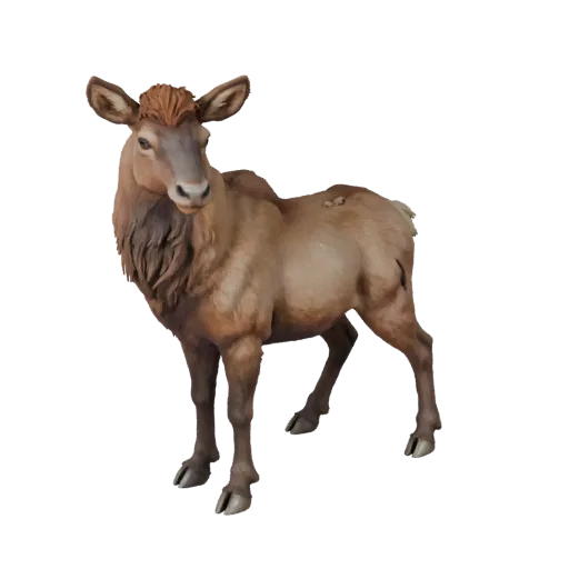 3D модель лося, вид сбоку игровой камеры, готовый для Unity ассет животного с объемом груди, переломами копыт, расположением