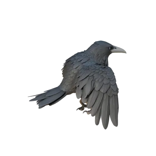 3D модель Ворона, вид сбоку игровой камеры, готовый для Unity ассет животного с детализацией хвоста, контрастом материалов кл