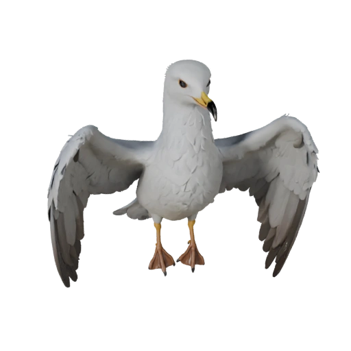 3D модель чайки для Blender - PBR ассет с текстурами | PBR