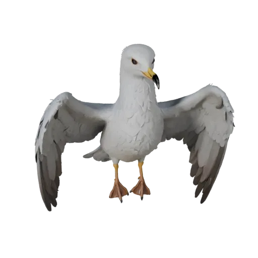 3D модель чайки, вид сбоку, рендер дикой природы, готовый для Blender ассет животного с направлением перьев, логикой складыва