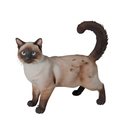 Реалистичная бирманская кошка 3D модель - rigged PBR ассет для игр