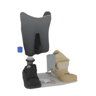 3D модель сборки протеза ноги, показывающая серую гильзу, бежевый лайнер, черный ботинок и синий компонент, разложенные для с