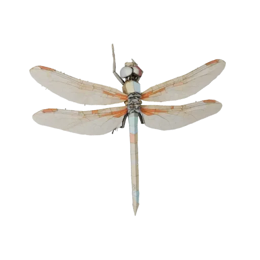 Низкополигональная 3D модель стрекозы, вид сбоку, стилизованное животное с разделением торакса, ритмом конечностей, разрушени