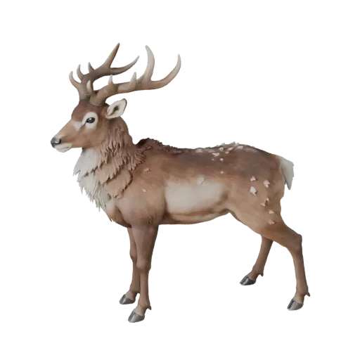 3D-модель антилопы, вид сбоку игровой камеры, готовый для Unity ассет животного с направлением шерсти, формами корней рогов,