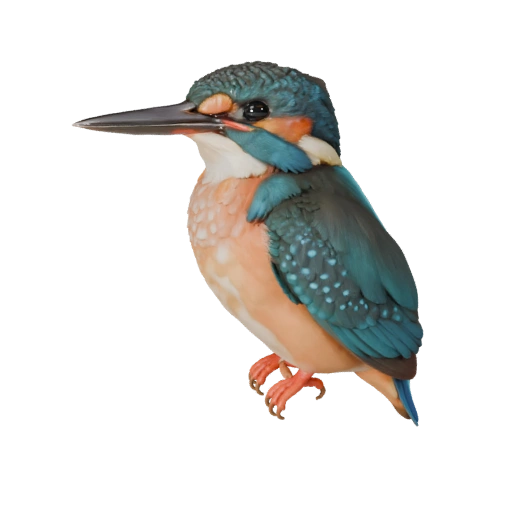 Реалистичный зимородок 3D модель - rigged PBR ассет для игр