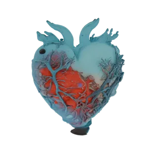 3D модель стилизованного анатомического сердца с видимым красным интерьером и синими полупрозрачными сосудистыми структурами.