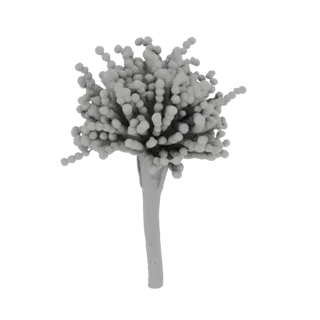 3D модель головки споры Aspergillus niger, показывающая стебель с кластером сферических спор наверху.