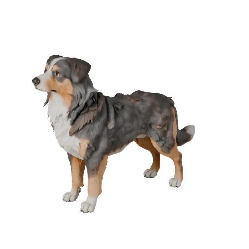 3D модель австралийской овчарки для Blender - PBR ресурс | PBR