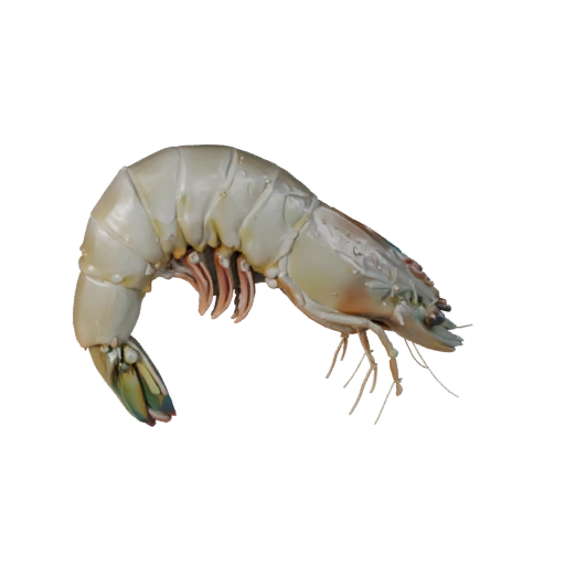 3D модель креветки для Blender - PBR ресурс с текстурами | Без роялти
