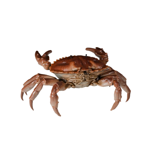 3D модель краба для Unity - Готовый игровой ассет, FBX | Бесплатно