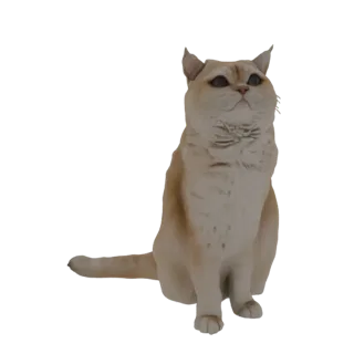 3D рендер золотого кота, сидящего прямо и смотрящего вверх, с хвостом, обернутым вокруг тела.