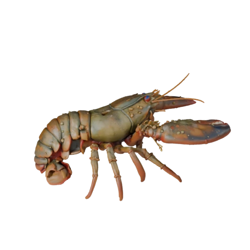 Реалистичный омар 3D модель - rigged PBR актив для игр | PBR