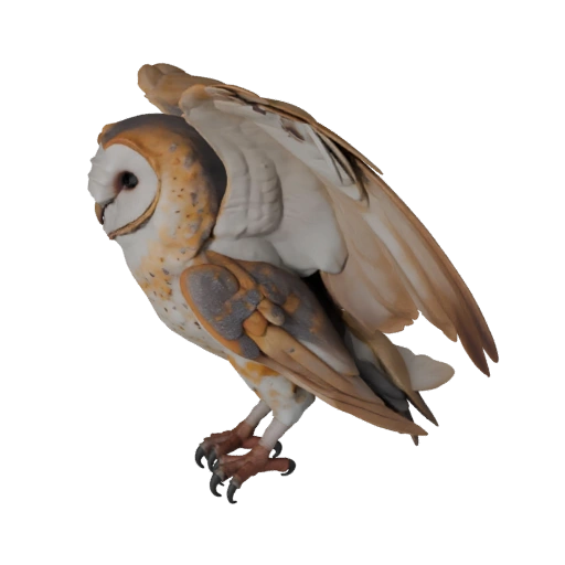 Ушастая сова 3D модель для Unity - Готовый игровой ассет, FBX | Бесплатно