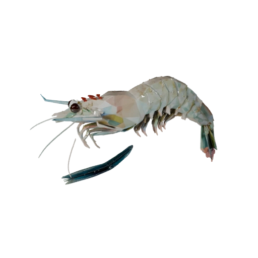 Низкополигональная 3D модель креветки - Игровой ассет для Unity с FBX | Бесплатно