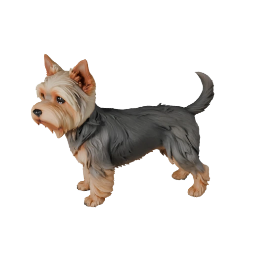 Низкополигональный Йоркширский Терьер Собака 3D Модель - Игровой Ресурс Unity с FBX