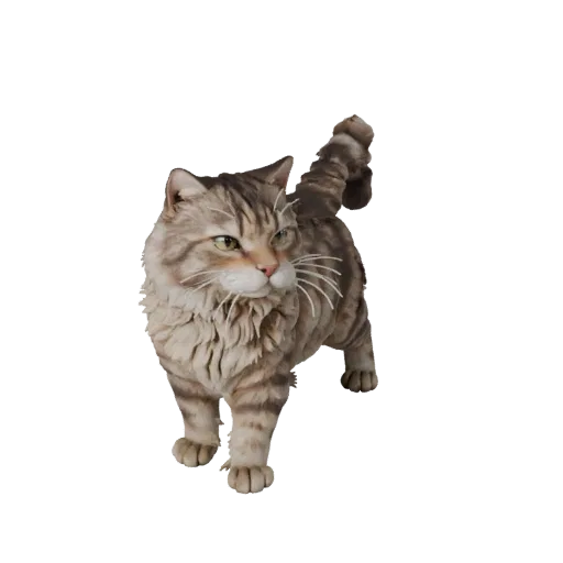 Реалистичная 3D модель кота породы рэгмаффин, вид сбоку, рендер дикой природы, готовый к анимации ассет животного с подушечка