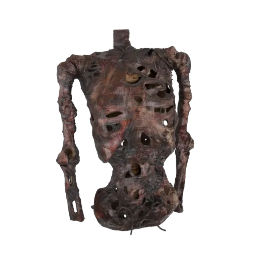 3D модель истлевшего скелета торса с видимыми отверстиями и истлевшими останками, представленная на белом фоне.