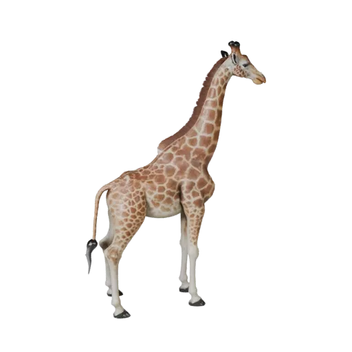 3D модель жирафа, вид сбоку, рендер дикой природы, готовый для Blender ассет животного с четкой анатомией, естественной массо