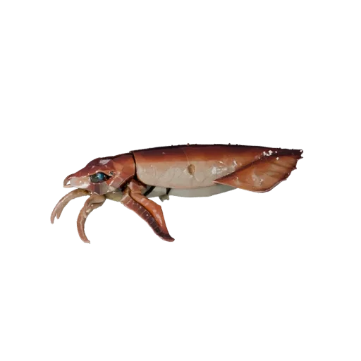 Низкополигональная 3D-модель кальмара, вид сбоку игровой камеры, низкополигональный ассет животного с реакцией кожи под водой
