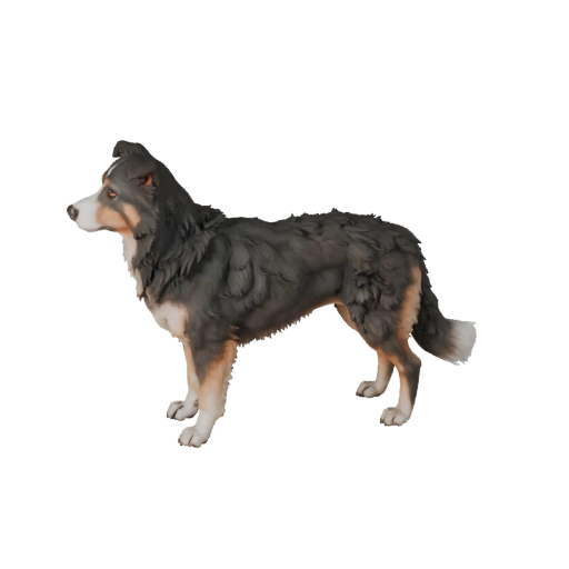 Реалистичная 3D модель собаки бордер колли - rigged PBR ассет для игр