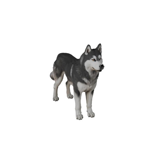 3D модель сибирского хаски для Blender - PBR ассет с текстурами