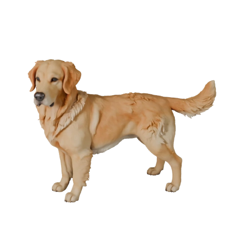 3D модель золотистого ретривера собаки для Blender - PBR ресурс с текстурами