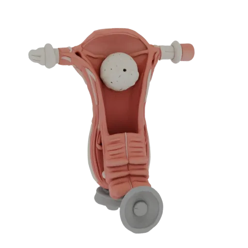 3D модель анатомической модели женских половых органов с фибромиомой, вид спереди