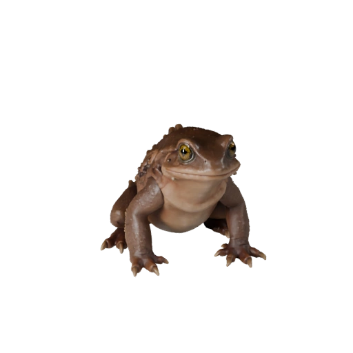 سمندر واقعي ثلاثي الأبعاد - أصل PBR مجهز للألعاب