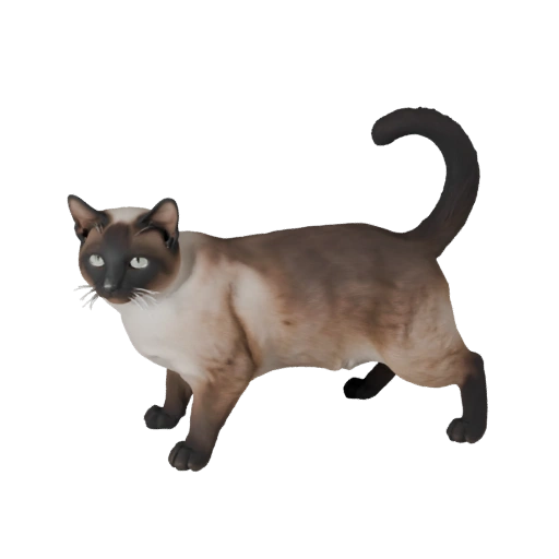 Сиамская кошка 3D модель для Unity - Готовый игровой ассет, FBX | PBR