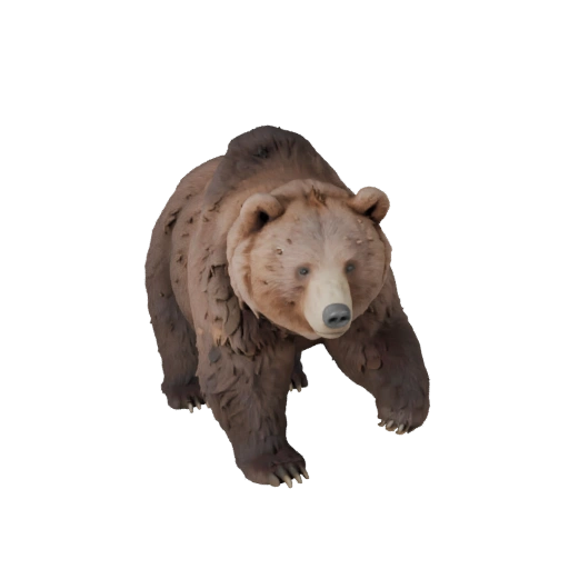 3D модель бурого медведя для Blender - PBR ресурс с текстурами | PBR