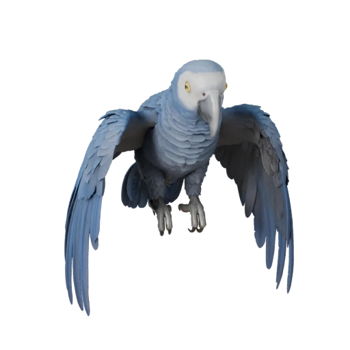 Жако 3D модель для Unity - Готовый игровой ресурс, FBX