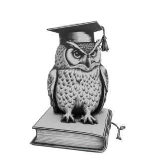 3D модель мудрого филина в шапочке выпускника, сидящего на книге, символизирующего знания и образование.