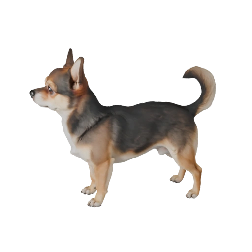 Реалистичная собака чихуахуа 3D модель - rigged PBR ассет для игр