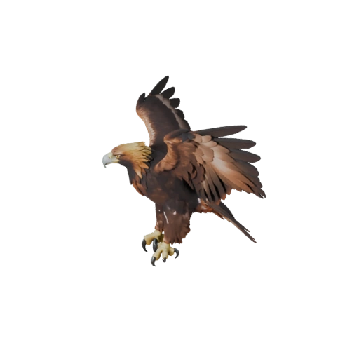 Реалистичная 3D модель беркута - rigged PBR ассет для игр