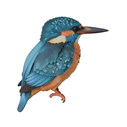 3D-модель Kingfisher, вид сбоку в игровом ракурсе, готовый для Unity ассет животного с профилем клюва, слоистым оперением, кр