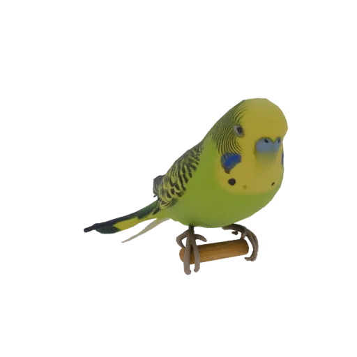 Реалистичная 3D модель зелено-желтого волнистого попугайчика, сидящего на деревянной палочке, изолированная на белом фоне.