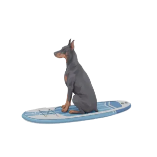 3D модель Добермана на сине-белой доске для серфинга, смотрящего влево.
