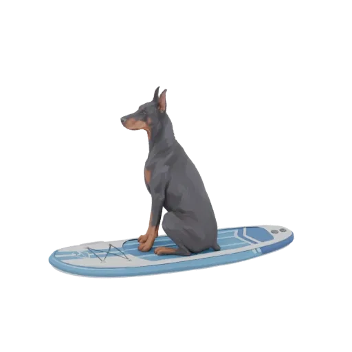 3D модель Добермана на сине-белой доске для серфинга, смотрящего влево.