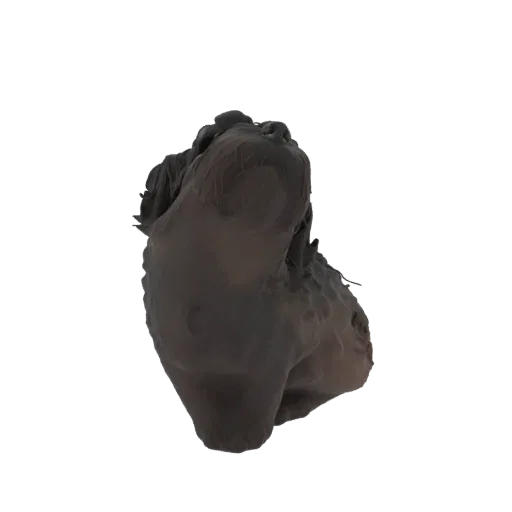 Рендер 3D модели бюста существа дарк фэнтези с угрожающим выражением и текстурированной, теневой внешностью.