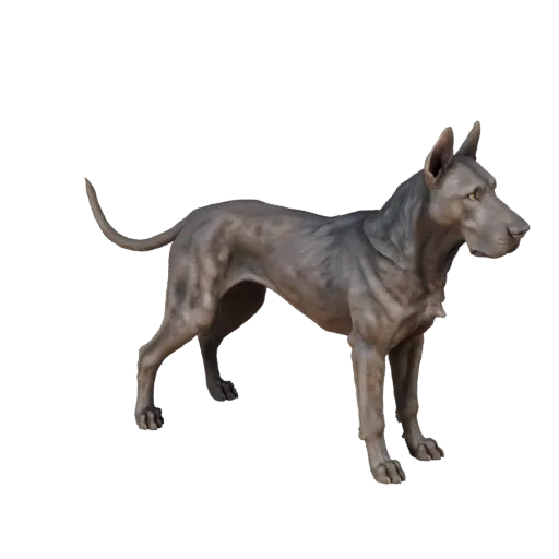 3D модель Собаки породы Великий Данец, вид сбоку в игровом ракурсе, готовый для Unity ассет животного с плоскостями морды, по