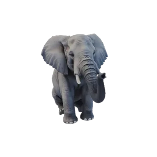 3D модель серого африканского слона, сидящего с слегка приподнятым хоботом.