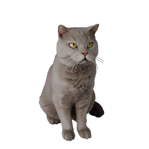 3D модель Британская короткошерстная для Blender - PBR ресурс с текстурами