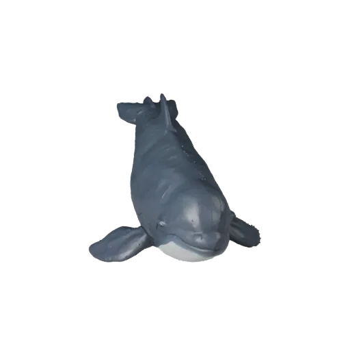Реалистичная 3D-модель Белухи, вид сбоку, рендер дикой природы, готовый к анимации ассет животного с реакцией кожи под водой,