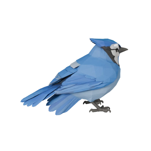 Низкополигональная 3D модель голубой сойки - Игровой ассет Unity с FBX | PBR