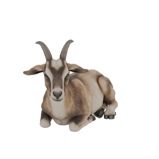 Реалистичная 3D модель коричнево-белой козы, лежащей с повернутой к зрителю головой.