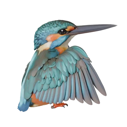 3D модель зимородка, вид сбоку в рендере дикой природы, готовый для Blender ассет животного с профилем клюва, слоистым оперен